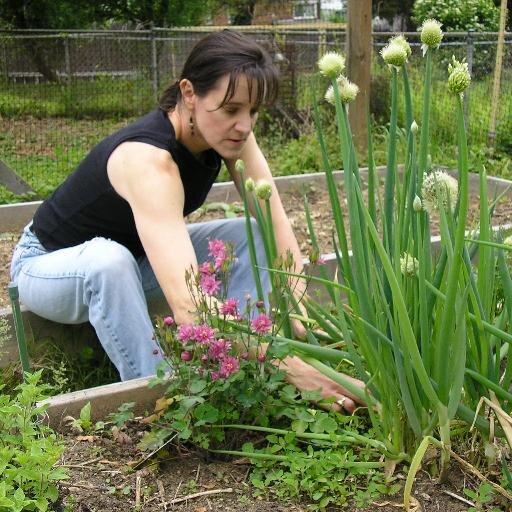 Washington reporter for @marketplace. I chase stories at work, chase my twin boys at home. Tend veggie garden in between. DM me for signal number.