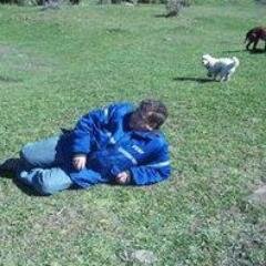 juancar09425419's profile picture. 