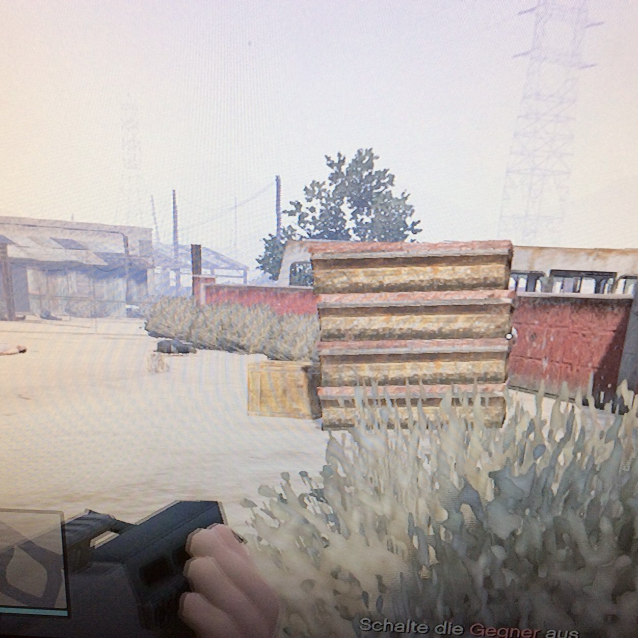 heideltraut007's profile picture. 