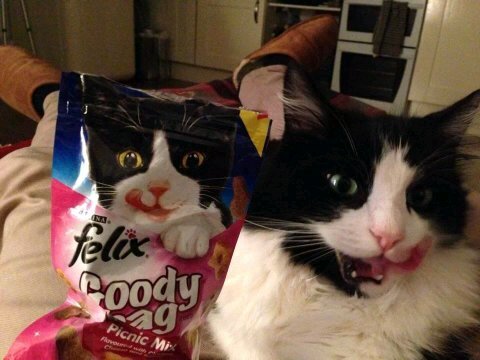 EddyMendozalml's profile picture. Pure Fucking Metal