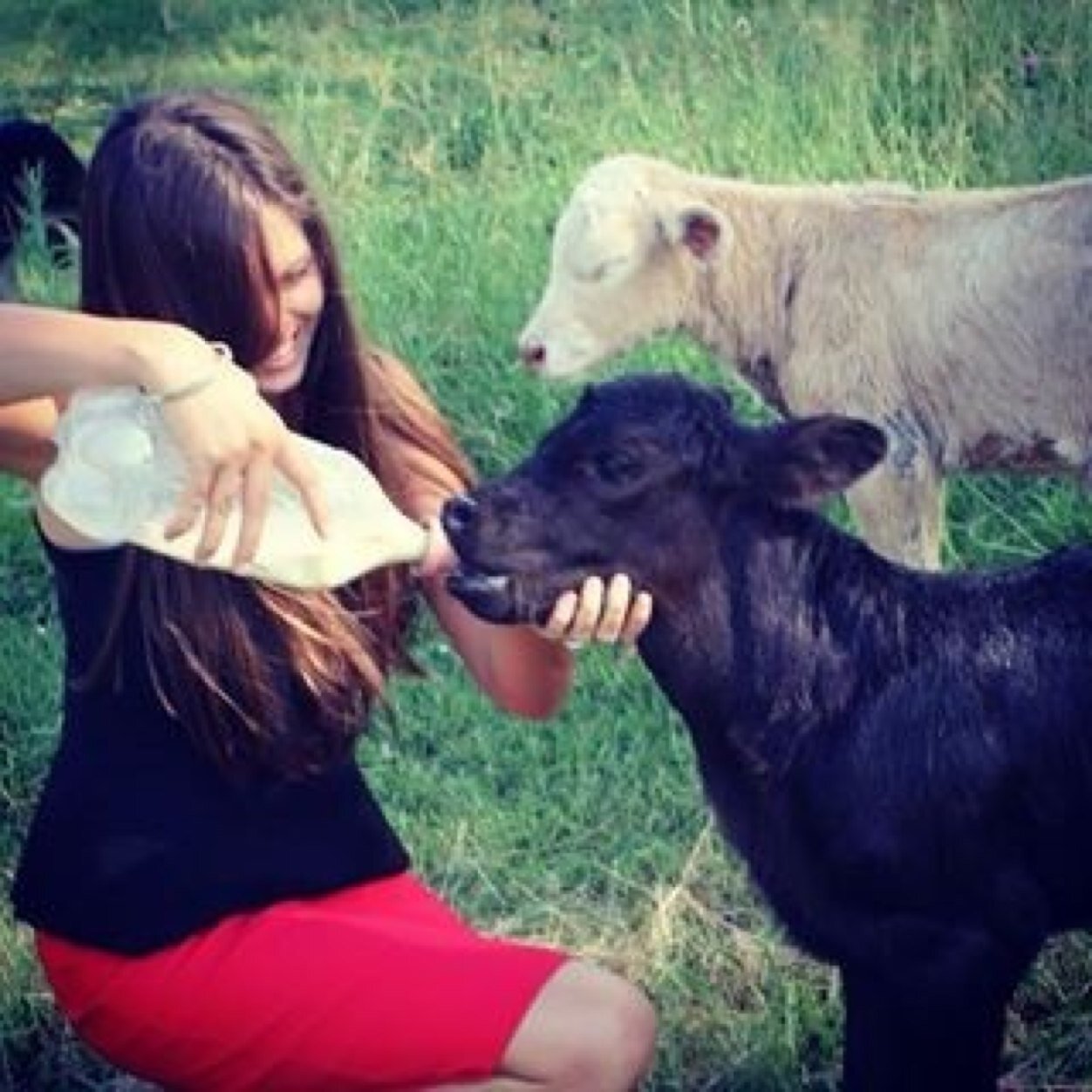 SusieCunningh87's profile picture. Fond of good people + stories + farm stuff + local stuff + hiking📍Scenic Rim, Australia