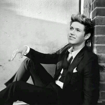 Directioner/Gemelier