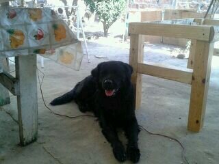 alejandrochacka's profile picture. 