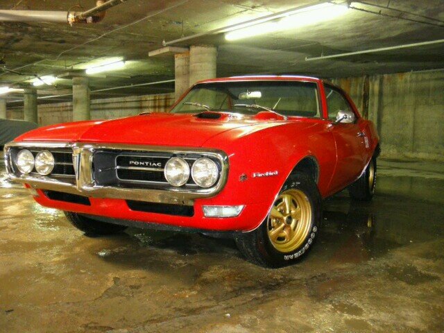 Stefanation's profile picture. Ask and you will know!