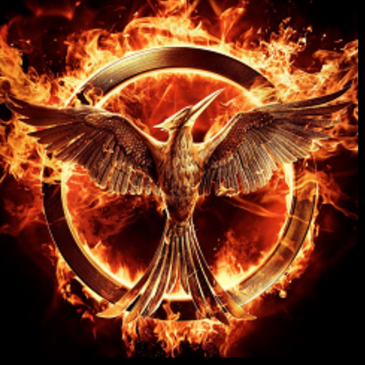 the hunger games, divergent, perks, tfios, percy jackson and a little game of thrones so yeah hi, my name is mischa and i live on a couch with a laptop and food