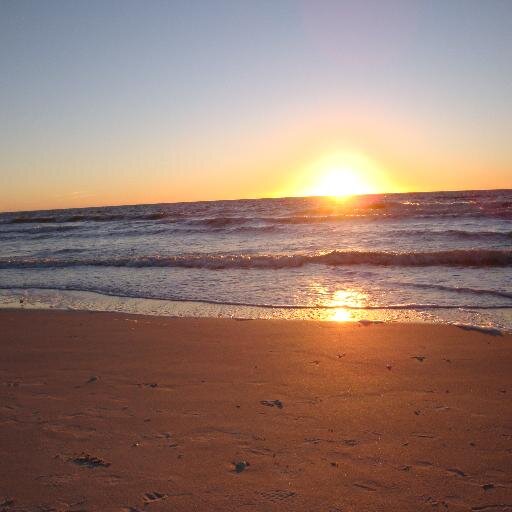 wirelessmom44's profile picture. 