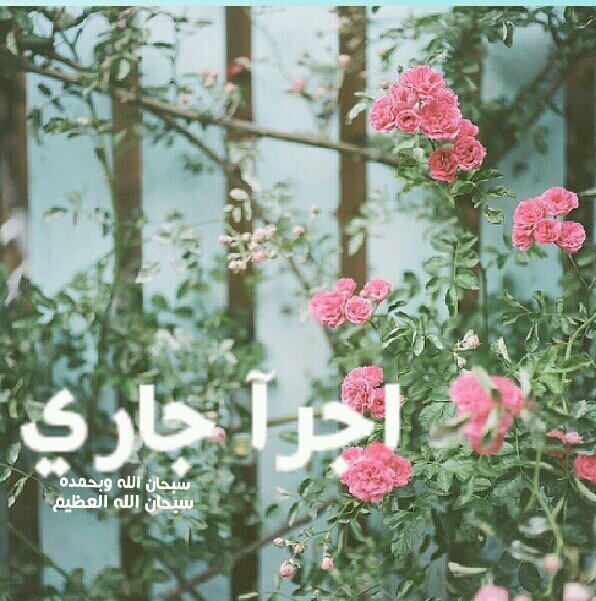 ‏آضف كل مآيخص |آلدين قبل ان تغرد تآكد منه صدقة جآرية لي وآلوآلدي وللمسلمين وآلمسلمات آنشر الحساب دال الخير كفاعله  *|