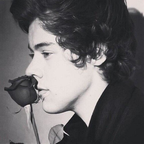 Please follow @Irishmetbritish she follows backk✨thankyou beautifuls