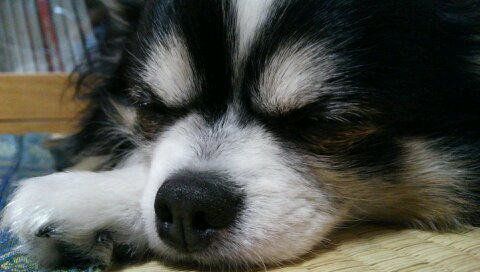 colorbox_10's profile picture. 田舎の高校生です。