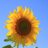 _jackie_renaud's profile image
