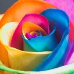 I AM 14,LOVE 1D,JESUS,AUSTIN MOHONE,LOVE MUSIC ALL DAY EVERYDAY,LOVE TO HAVE FUN YOLO,IF I THINK YOUR KOOL I WILL PROBLEY FOLLOW U.LOVE JASMINE :)