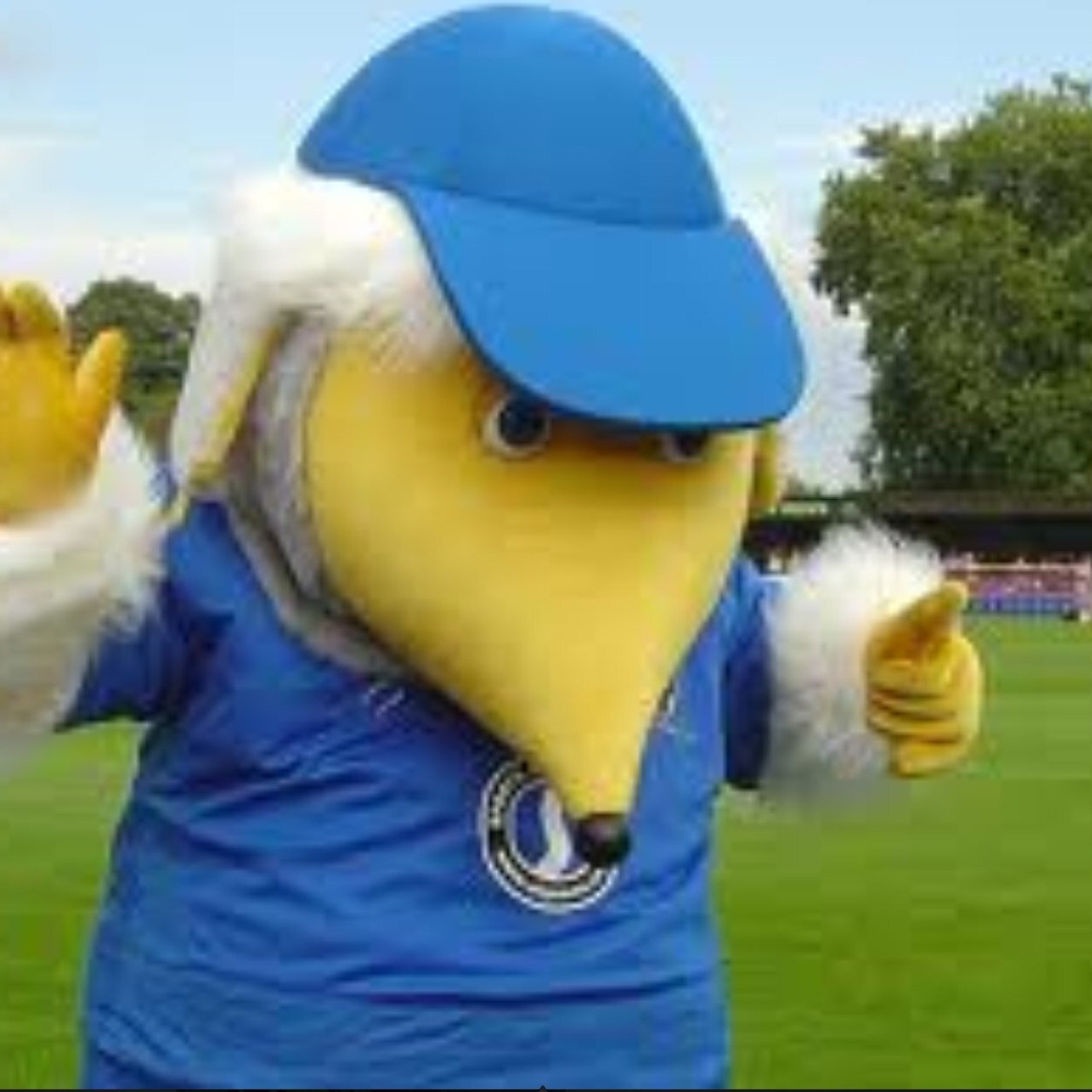 Wombles fan page - just a place for wombles to share views, follow dons news and win a giveaway..or two