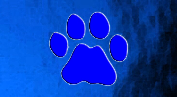 Let everyone know where the parties are! This page is not associated with Penn State Behrend University.