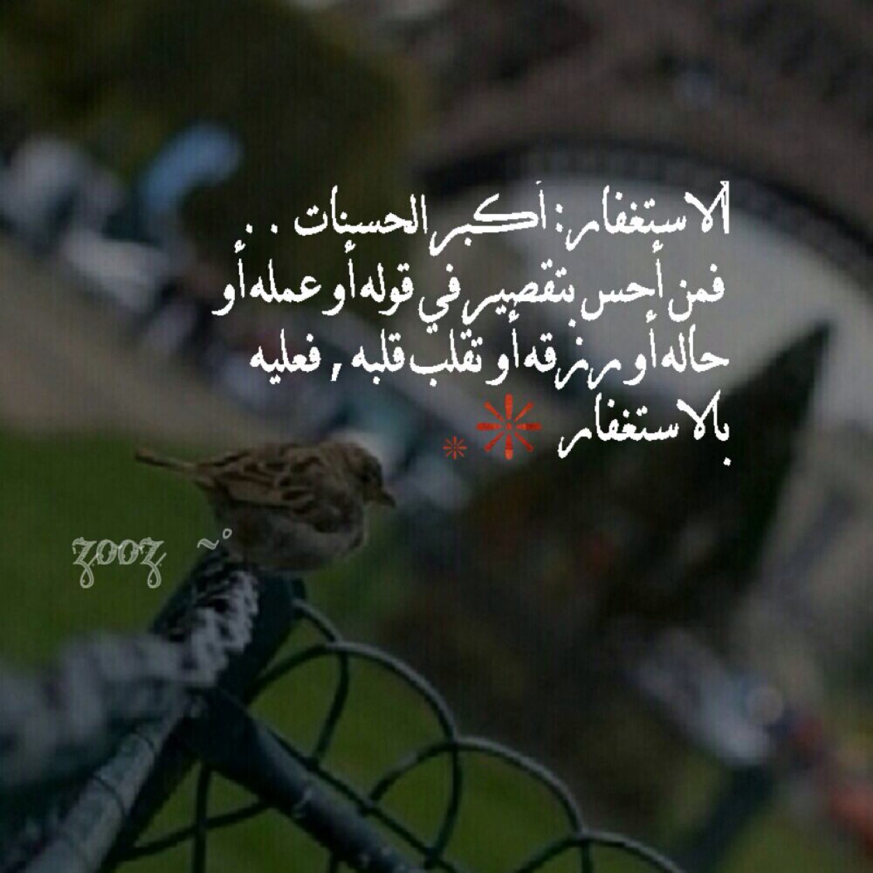 تم الغاء الحساب ..