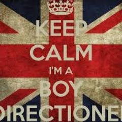Directioner Boy follow me and follow back . SOLO CIERRA LOS OJOS Y DISFRUTA DE ESTA MONTAÑA RUSA QUE ES LA VIDA //: Zayn malik