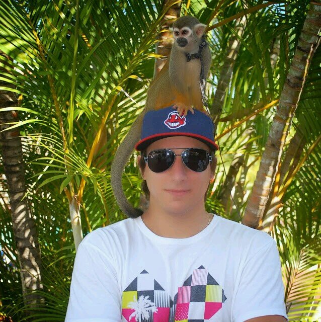 frankibrice25's profile picture. 