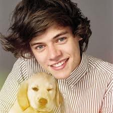 if you fallow me i fallow back