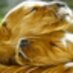 juan corro (@doblepoder) Twitter profile photo juan corro (@doblepoder) Twitter profile photo