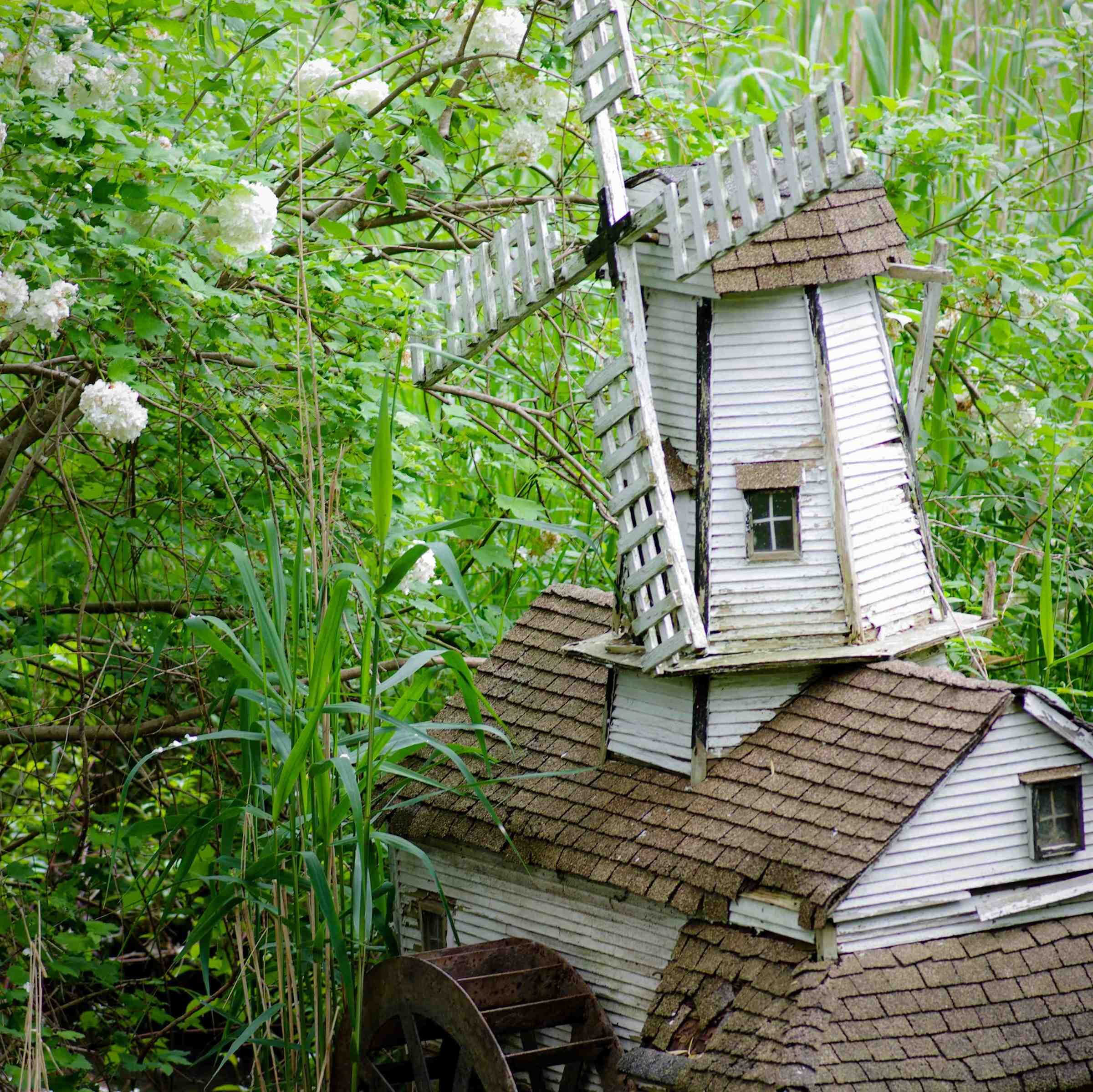 WillowWindmills's profile picture. Filmmaker, Hannah Michielsen - Next Project: Ingredients