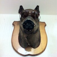 monty burns (@cbotpl) 's Twitter Profile