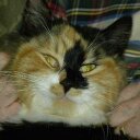 Jacinta Harvey - @JacintaHarvey1 - Twitter