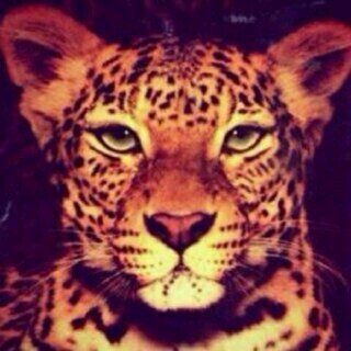 20 years old , born in 1994 ، student  in university , music , sport , travel , lives in macca follow me and enjoy ☺