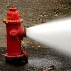 matrixabriceno's profile picture. Digital Curator. What do you do when you are bombarded with information overload?