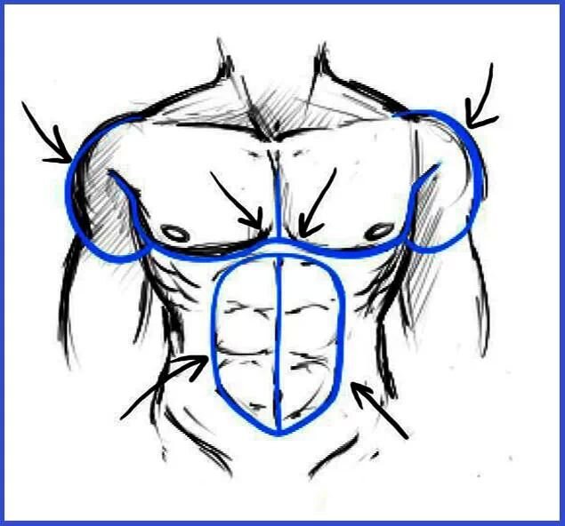 lcppelaez's profile picture. Amante de la vida segado por el amor y distraido por la libertad seguro de my he identificado con lo natural