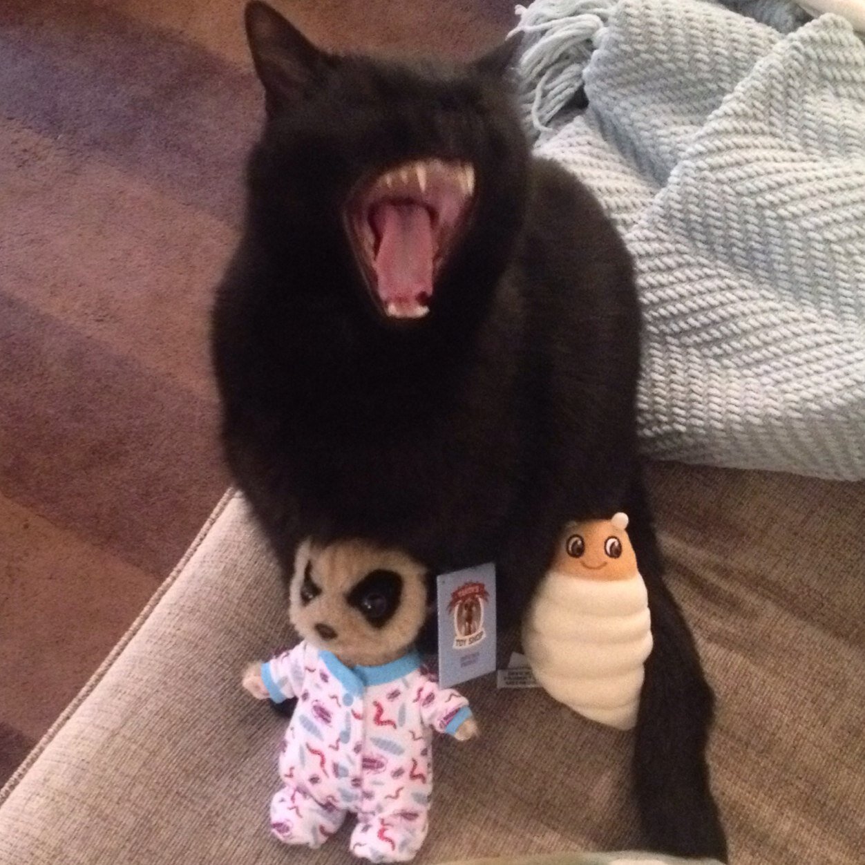 S1chand's profile picture. 