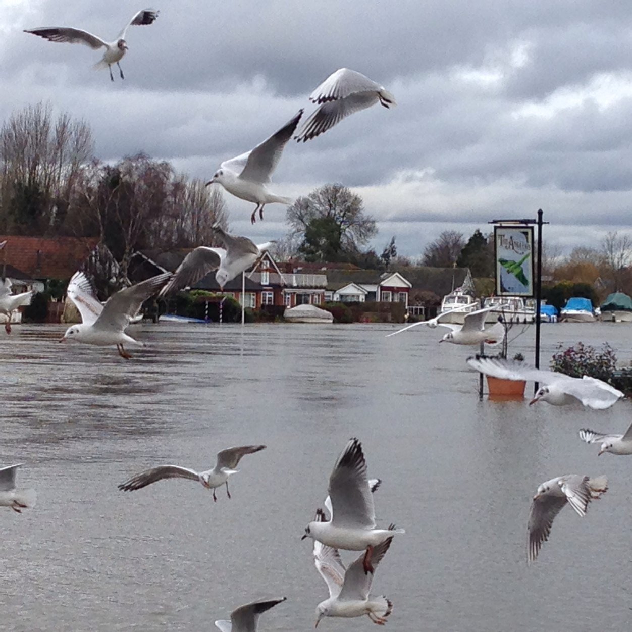 dudspaul's profile picture. 