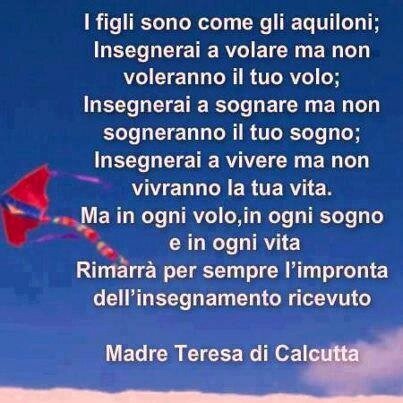 RobDocTheMedVet's profile picture. Medico Bestiale ( read as DVM ), trailman, interessato ascoltatore del mondo!!! The only failure is not to try :)
