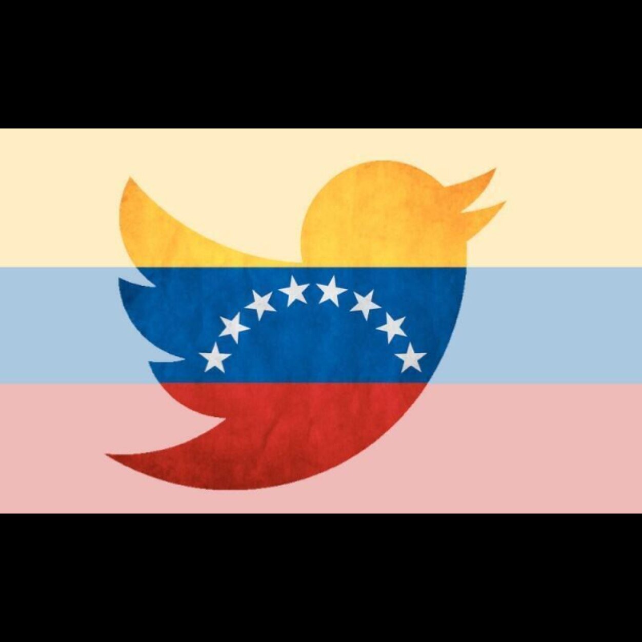 Soy fiel creyente de la Democracia y sus principios👍me declaro opositora a todo lo que la violente ❤️🇻🇪
