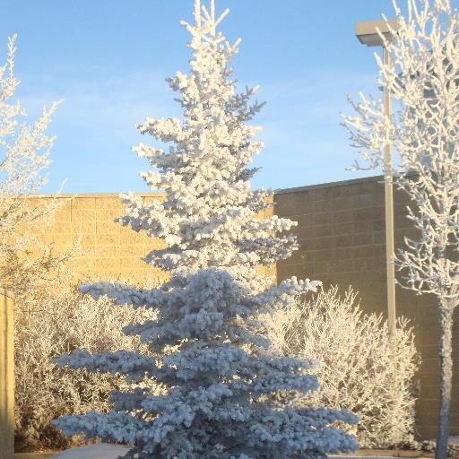 carmen_alicia_u's profile picture. 