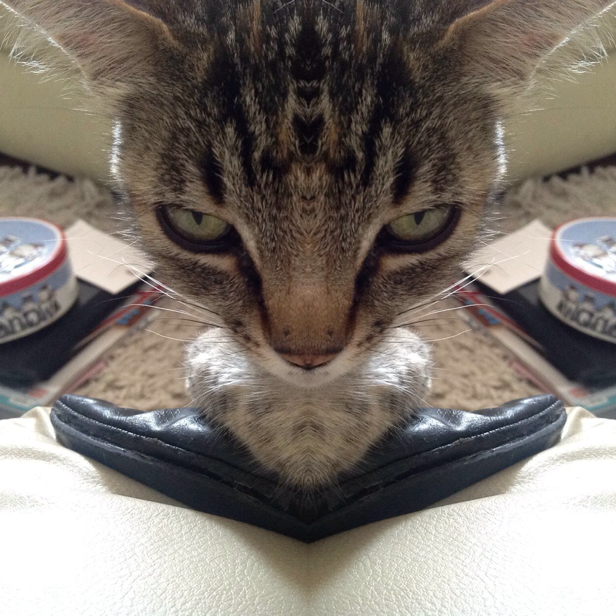 signorebuendia's profile picture. 