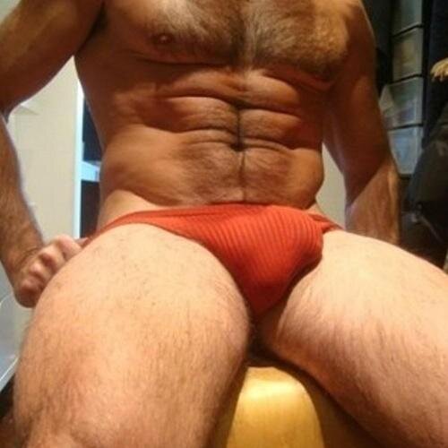 _bispoalves's profile picture. 