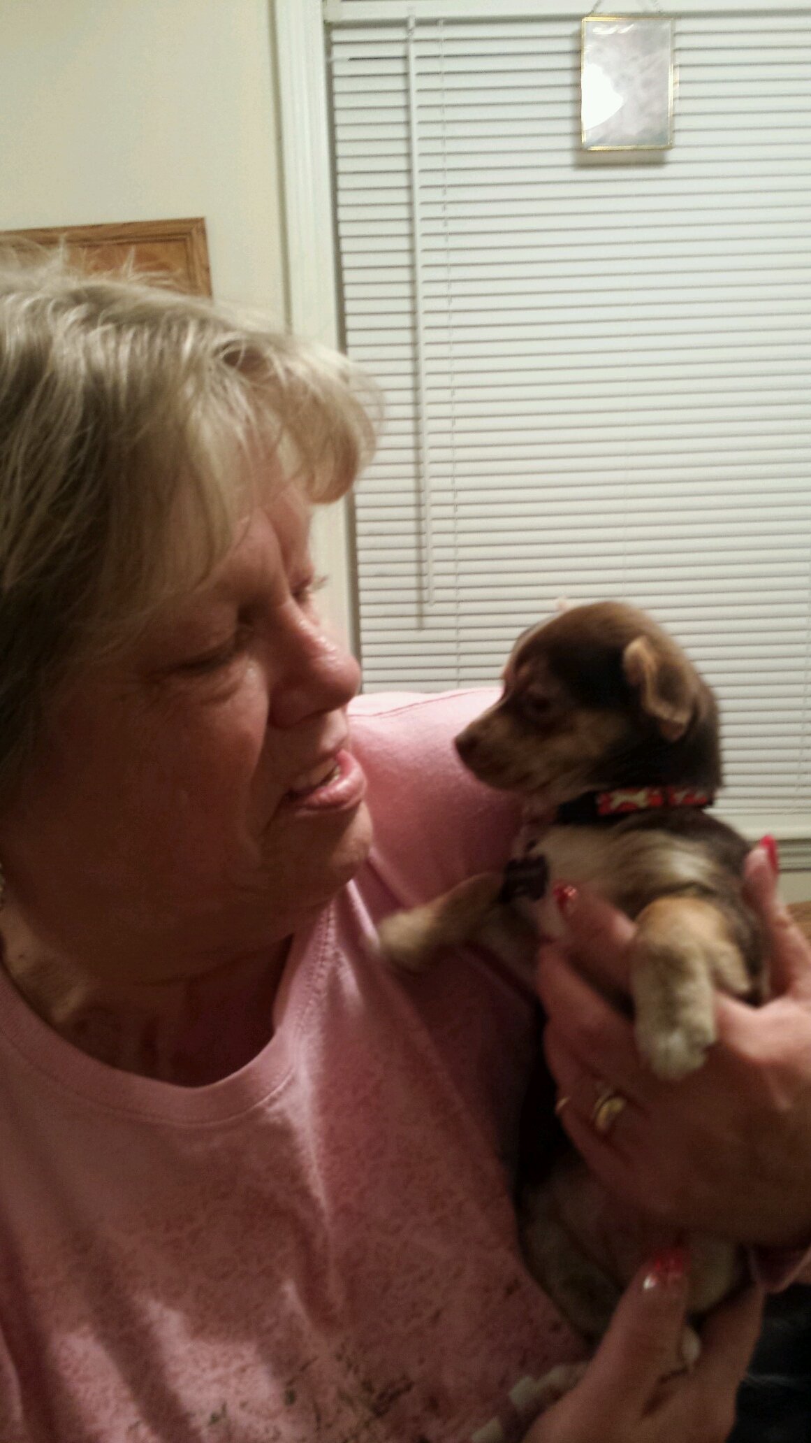 tibbslynn's profile picture. Loving life with God