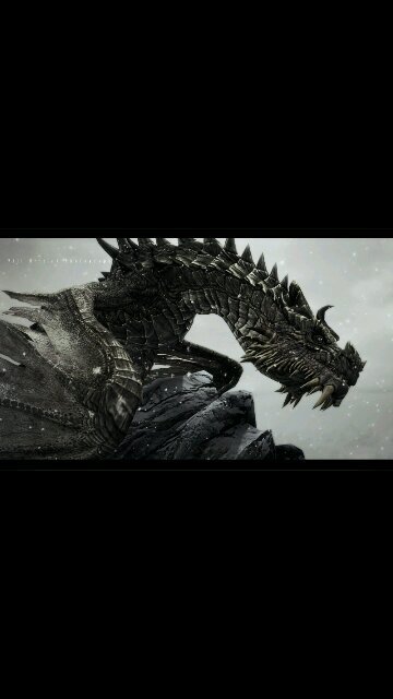 I am an old, peaceful dragon. I enjoy meditation very much. Look Thu'um.