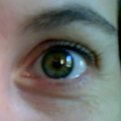 Pullipina's profile picture. Bicho con pies, todo terreno.