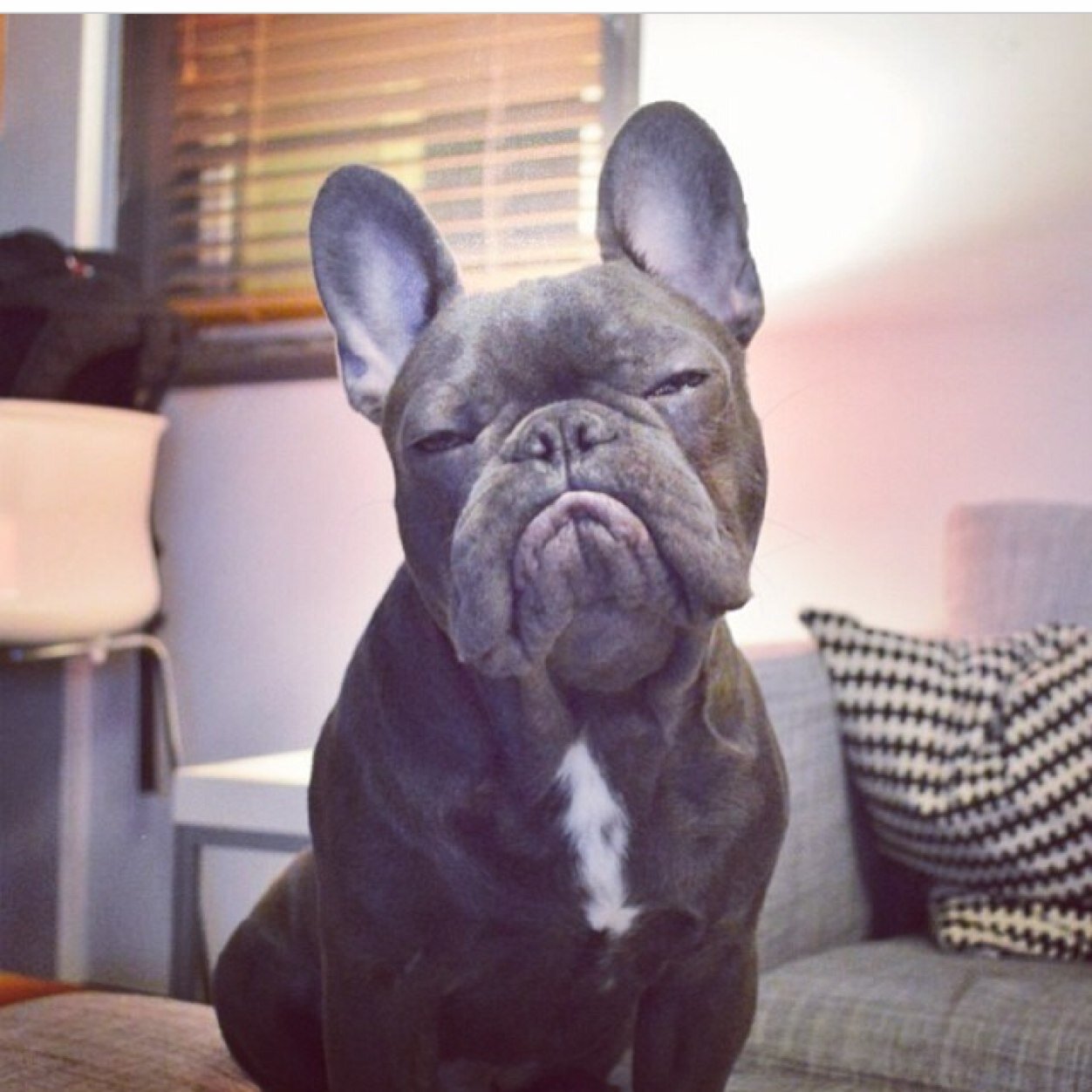 zakdylanowen's profile picture. 