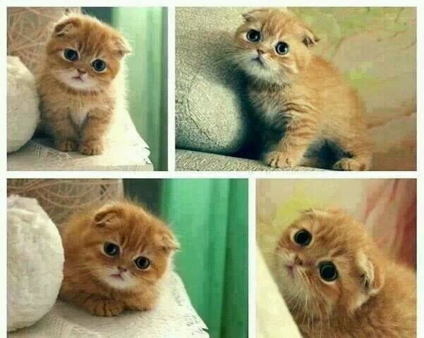 sue ...anti coup -_- 14 sna w nos :) follow me allah ysahelk :D