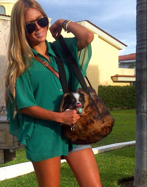 miscamus's profile picture. 