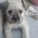 leidy manuela garces - @leidymanu406 - Twitter