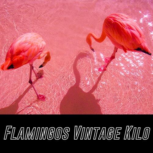 vintagekilo's profile picture. C/Ferlandina, 20 08001 El Raval Barcelona (junto al Macba)
C/Tallers, 31 08001 Barcelona