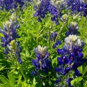 Stephanie markgraf - @Stephaniemarkgr - Twitter