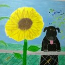 craigo - @craig_oliphant - Twitter