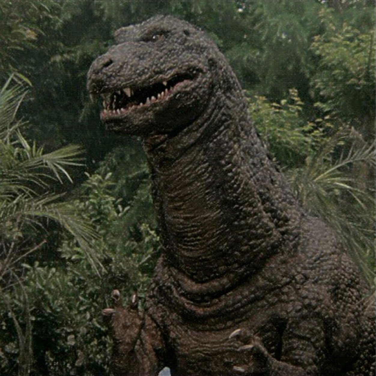 I like Jurassic Park, Godzilla, Fearless Vampire Killers and movies