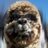 Hackudao's profile image