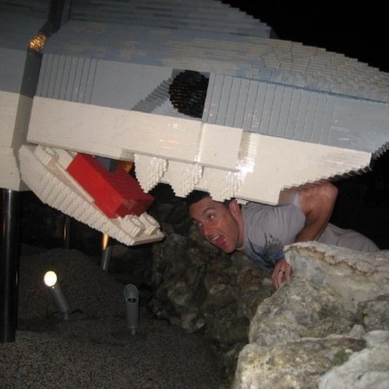 Nap dependent. The Rock of Boston. Payton Eeles fan club member. Genuinely happy for Wheel of Fortune winners.