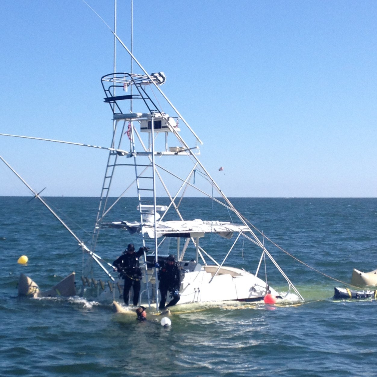 SeatowDelmarva's profile picture. 