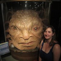 Ashley Newell (@olanthea) Twitter profile photo